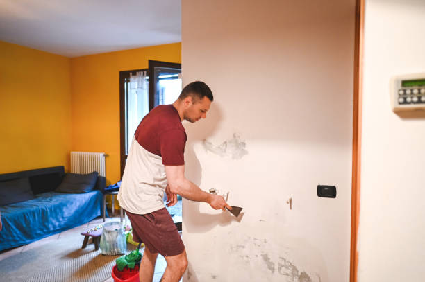 Best Home Mold Removal  in Huntington Station, NY